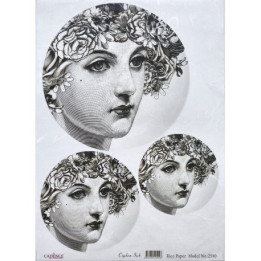 copy of 